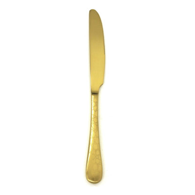 Coccodrillo Stainless Steel Dinner Knife