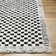 Aryas Checkered Machine Woven Polyester Area Rug in Black/Cream