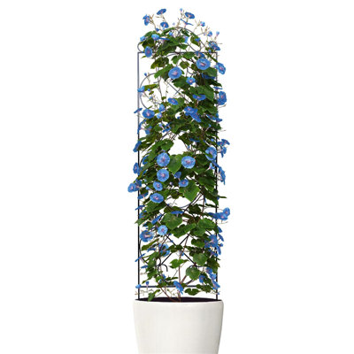 123cm H x 31cm W Metal Gothic Trellis Side Panel