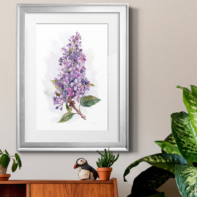Awash in Lilac I par J Paul - reproduction d'art encadrée