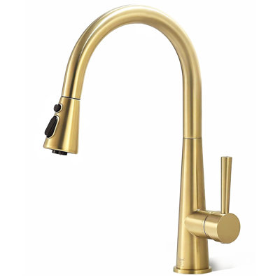 OAKLAND Single Handle Pull Down Kitchen Faucet