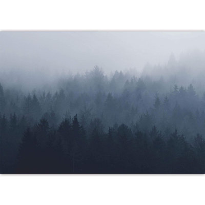 Murale forêt couverte de brume