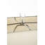 Brizo Table Lamp