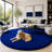Ebern Designs Soft Fluffy Blue Shag Area Rug for Living Room Bedroom Nursery Kids Room-1164655164-1164655161