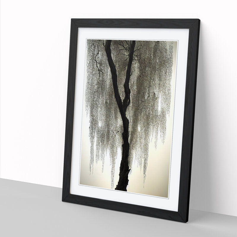 Weeping Willow Tree Art Vol.2 - Picture Frame Print, 64cm H x 46cm W x 2cm D, Oak