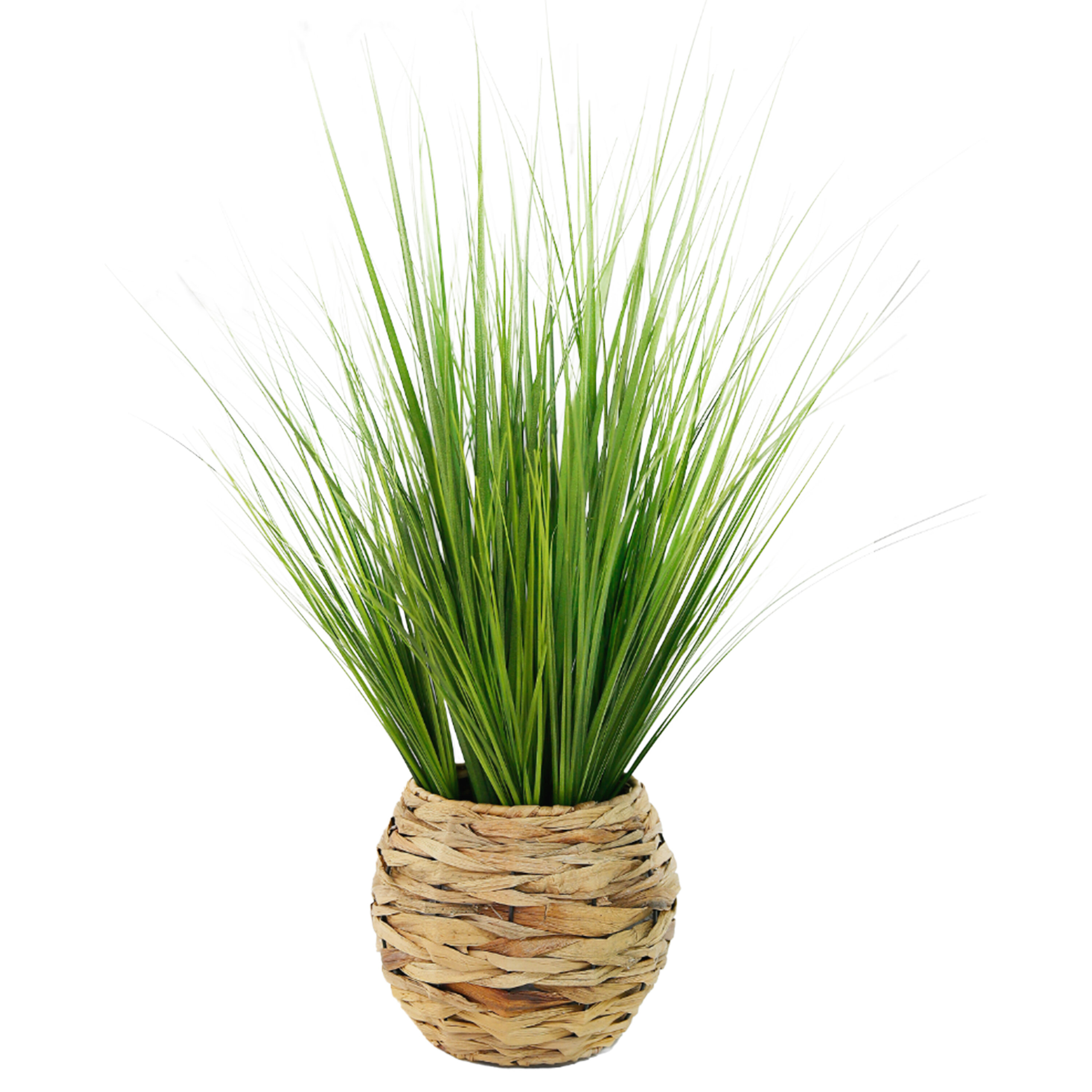 Artificial Air Plant - White Birch Design Company