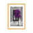 Natural Wood Framed Paper is unavailable