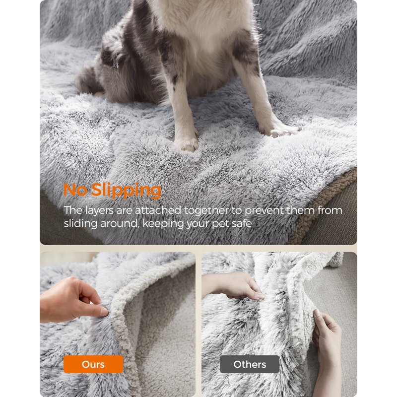 Couvertures pour chien
