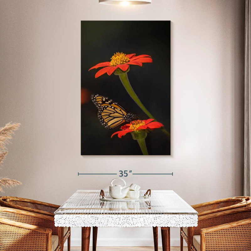 Portrait de papillon Brampt I, H 51 po x l 34 po