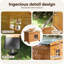 Maison de chat jaune-1672560296