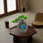 Rahmeek Weather Resistant Fountain with Light