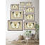 Delicate Beauty - Single Picture Frame Print-921473432