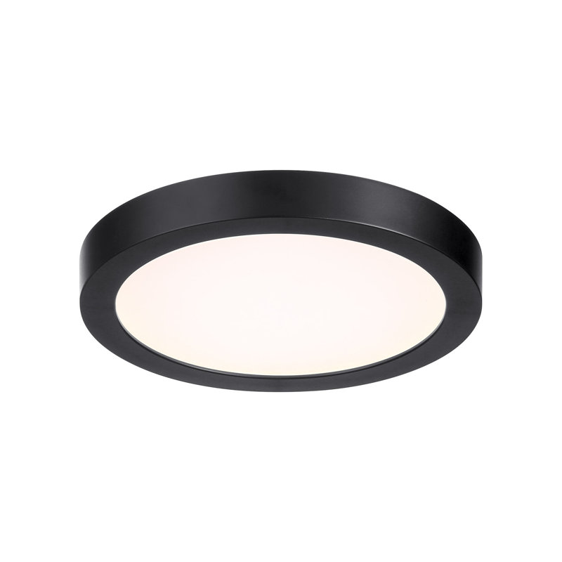 Black Metal and Glass LED Flush Mount Light