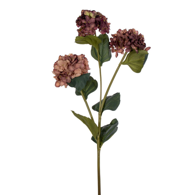 Hydrangea Stem, Brown