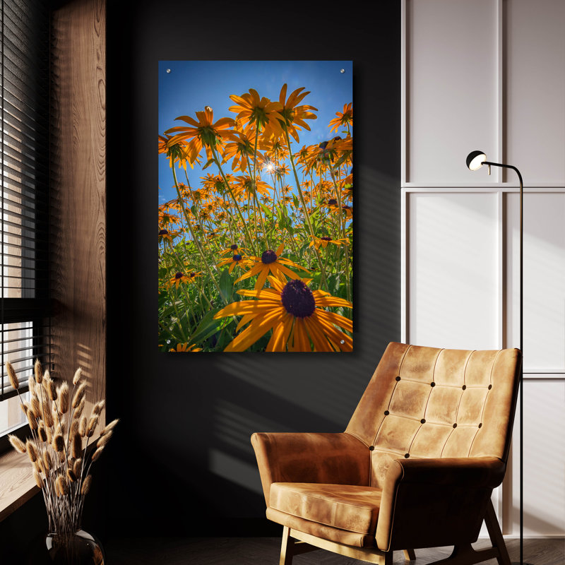 «Black Eyed Susans Bask In The Sun» par Rick Berk, art mural en verre acrylique, H 36 po x l 24 po x P 0,2 po