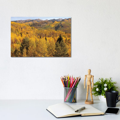 Mountain Aspens 1 Piece Wrapped Canvas Wall Art
