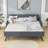 Kemel Upholstered Daybed with Trundle Bed-1862052199