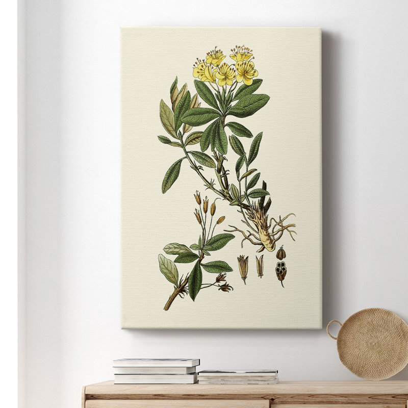 Olive Greenery IV - peinture sur toile tendue, H 18 po x l 12 po x P 1,5 po