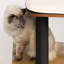 Arbre à chat 48 po Vesper-108989067-108989068