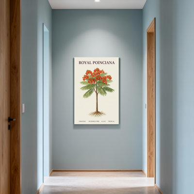 «Plants & Flowers Royal Poinciana Tree», reproduction d'art botanique