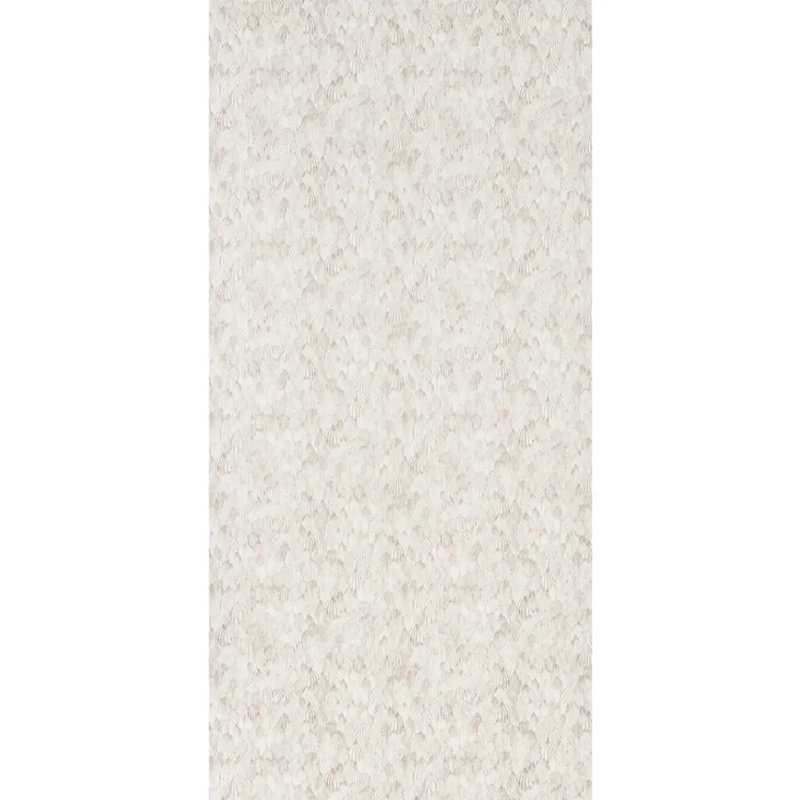 Feathers Wallpaper, Brown