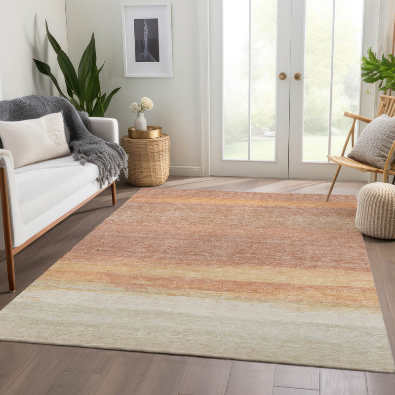 Tapis saumon intérieur / extérieur lavable à la machine Christn ACN1274, Rectangle de 10 pi x 14 pi