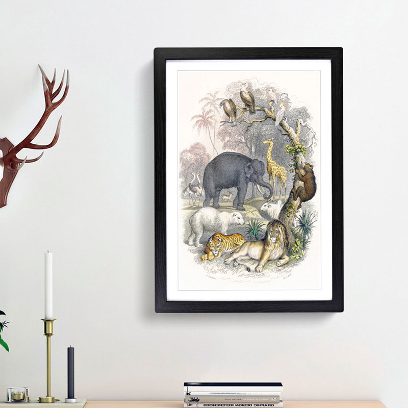Animal Kingdom Illustration by Oliver Goldsmith - Single Picture Frame Painting, 33cm H x 24cm W x 2cm D, Black Framed
