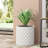 MGO PLANTER