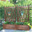 Shruthi Planter