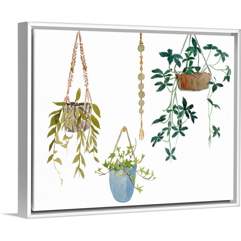«Hanging Greens I», art mural sur toile, Toile avec cadre blanc, H 26 po x l 32 po