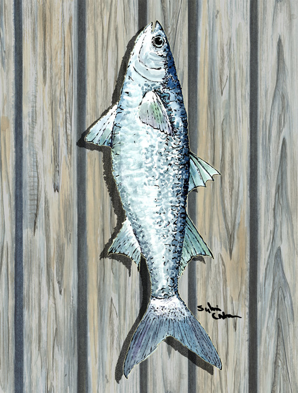 Drapeau de jardin 2 côtés fish mullet