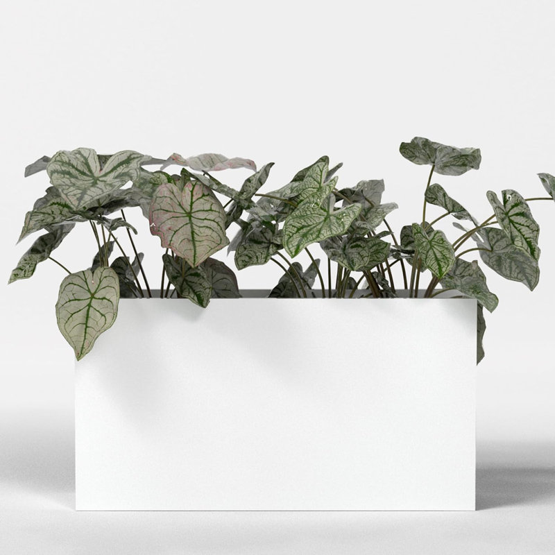 Greenline Fiberglass Alice Large Indoor/Outdoor Rectangle Planter -  -, 32" H x 16" W x 60" D, Gloss White