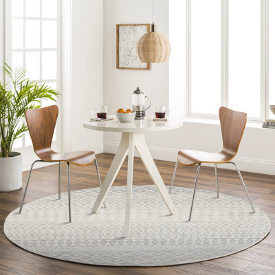 Narine Machine Woven Grey/White Indoor Rug