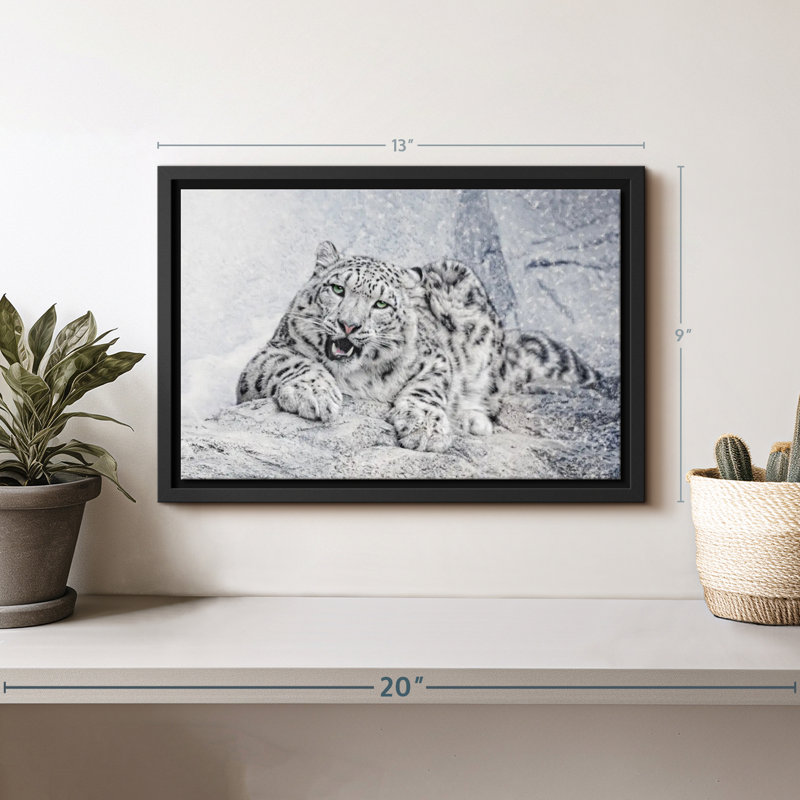 Impression sur toile Snow Leopard In Blizzard, H 9 po x l 13 po