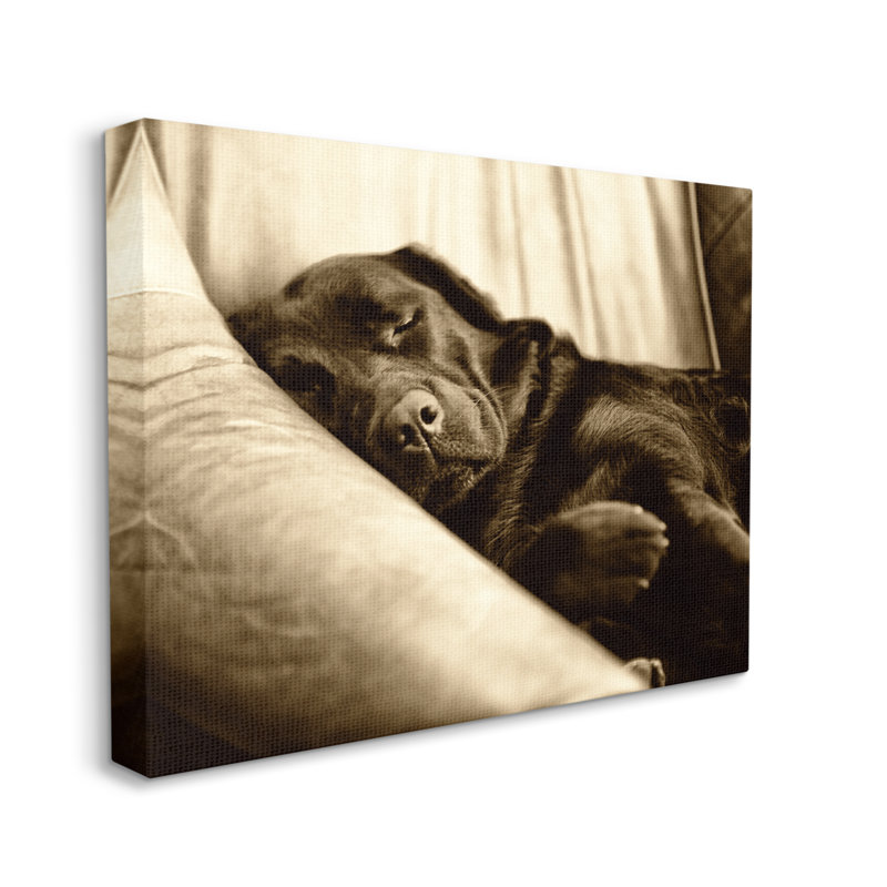 «Cuddling Labrador Dog Sleeping Cozy sépia» par James Dobson - photographie sur toile tendue, H 24 po x l 30 po x P 1,5 po