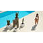 Cube - Resin Pot Planter - Basic-17284043-84894285
