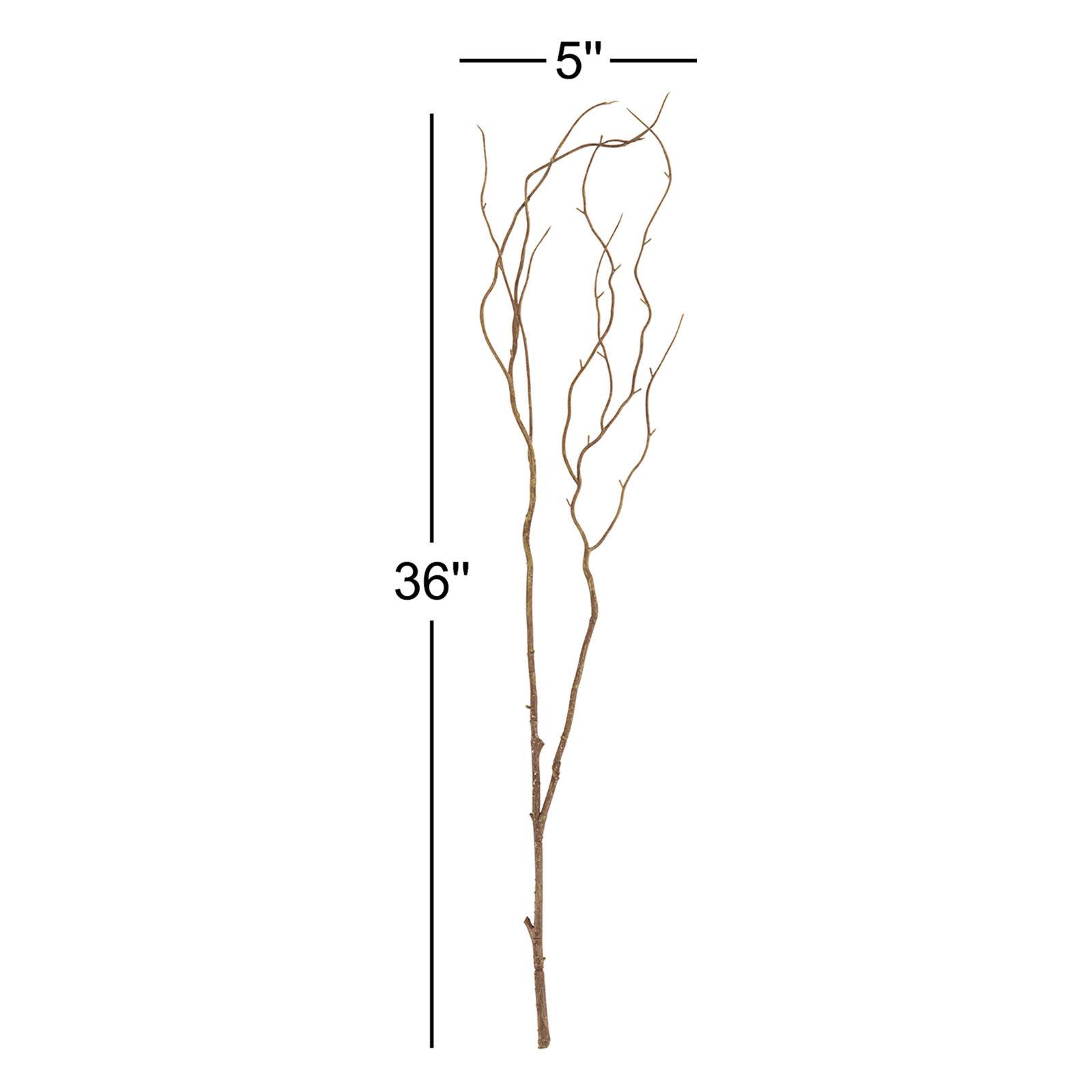 Rimma Willow Twig Stems