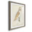 Barn Owl Premium encadré mat - prêt à accrocher-1890251826-1890251827