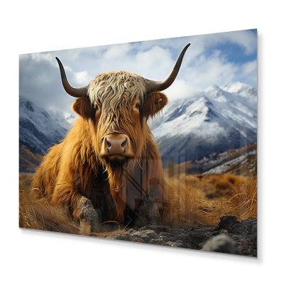 Brown Yaks in Montain I - impression sur métal