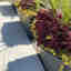 Customer photo 3 of 3