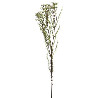 Wax Flower Arrangement