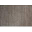 Sanctuary Area Rug in Taupe-25237526