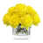 Yellow selected