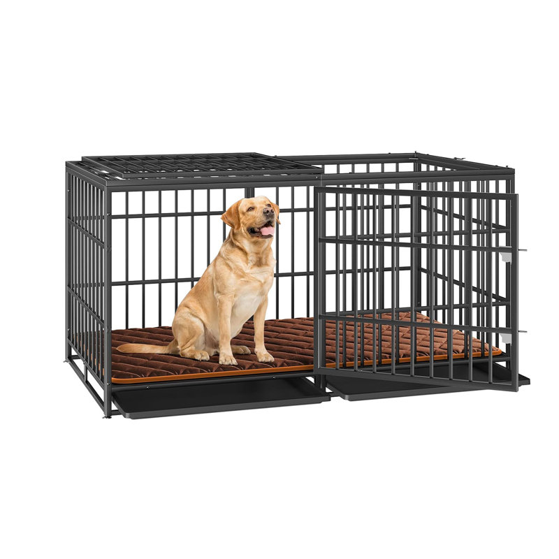 Cage pour chien très grande de 61 pouces avec 2 plateaux amovibles et chenils en métal robuste pour grands chiens