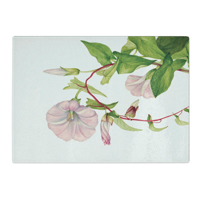 Hedge Bindweed by Mary Vaux Walcott Chopping Board