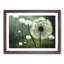 Blissful Dandelion Flowers - Framed Print-1905886156-1905886157