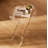 Acrylic Folding Tray Table, Acrylic End Table With Folding X Leg, Clear Acrylic Side Table