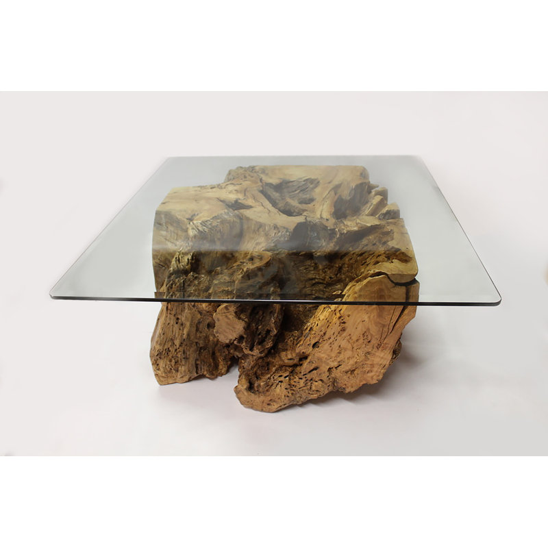 Table basse Wild Cherry Root