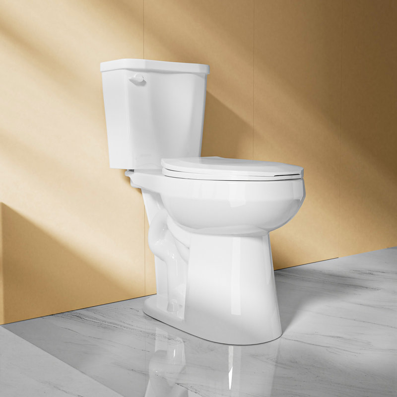 Compact Tall Toilet 19" ADA Comfort Height for Seniors, 1.28 GPF Single Flush Two Piece Toilet White, MAP 1000g, Glossy White
