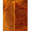 Fine Vibrance One-of-a-Kind 9' 1" X 12' 8" Hand Knotted Area Rug
